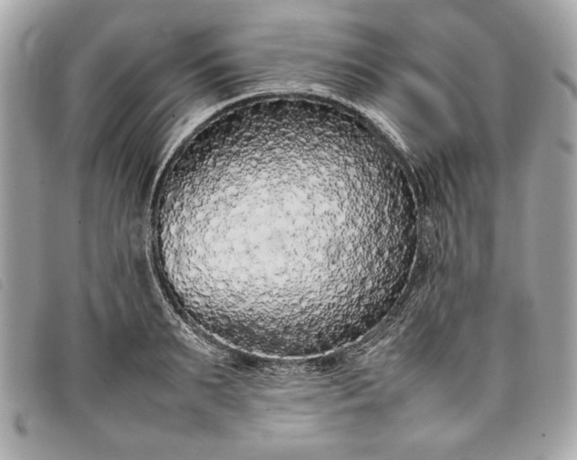 X0000098020895200804071350