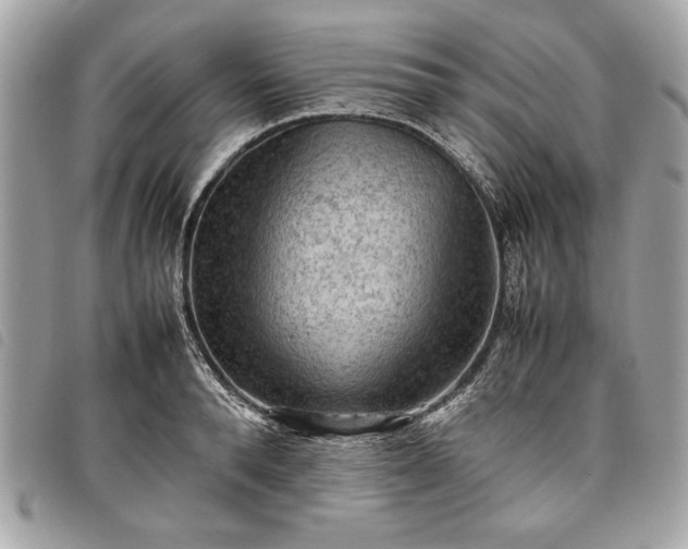 X0000098020896200804071350