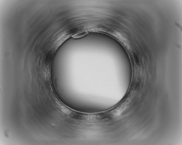 X0000098020897200804071350