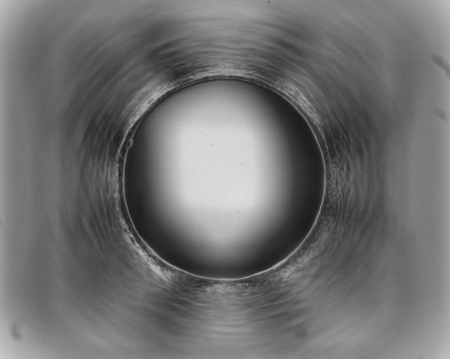 X0000098020898200804071350