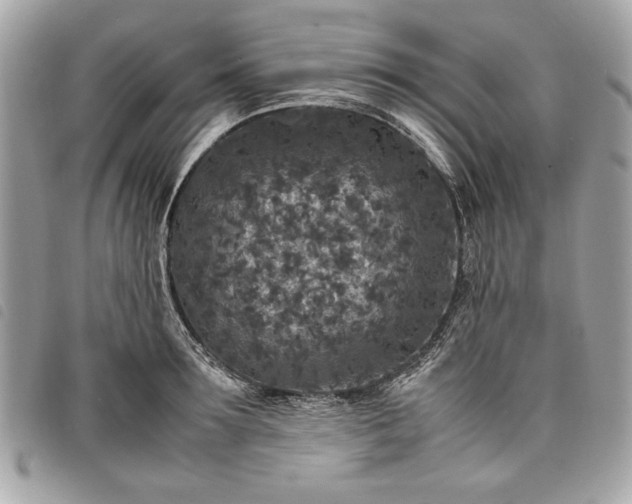 X0000098020899200804071350