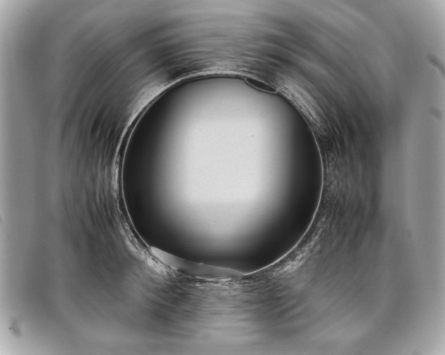 X0000098020900200804071350