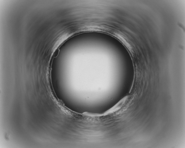 X0000098020901200804071350