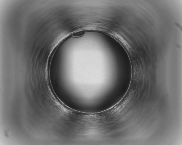 X0000098020902200804071350