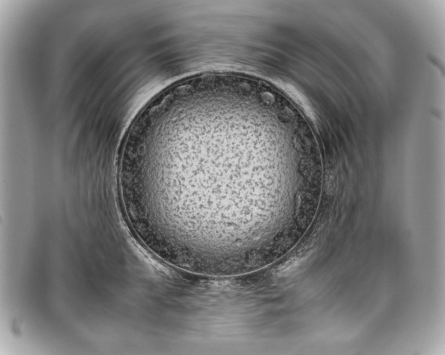 X0000098020903200804071350