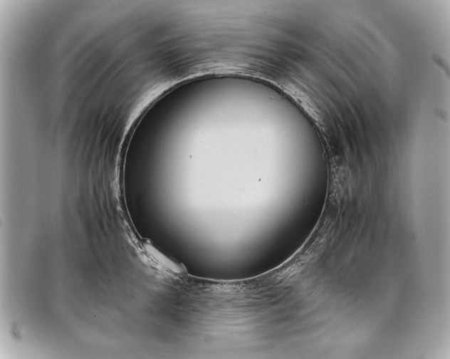 X0000098020904200804071350