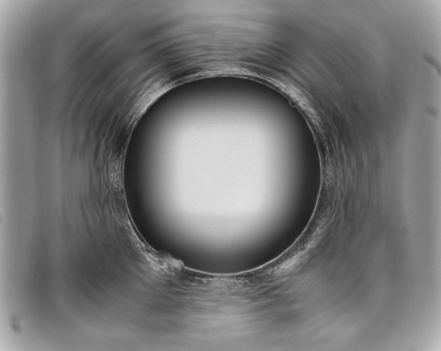 X0000098020905200804071350