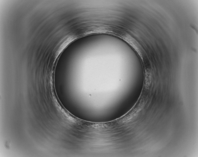 X0000098020906200804071350