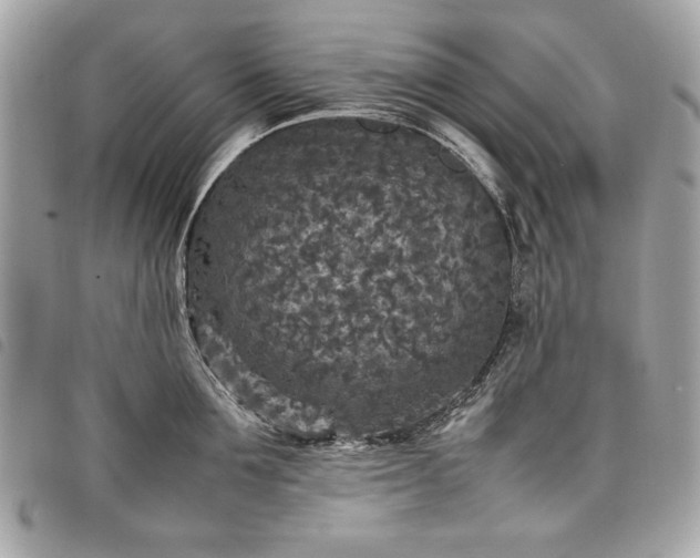 X0000098020907200804071350