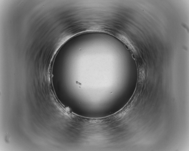 X0000098020908200804071350