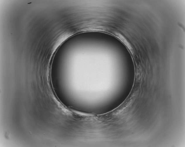 X0000098020909200804071350