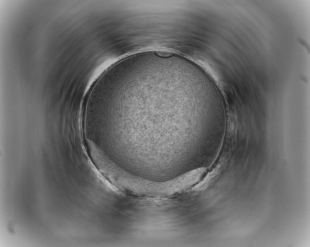 X0000098020910200804071350