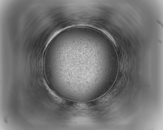 X0000098020911200804071350