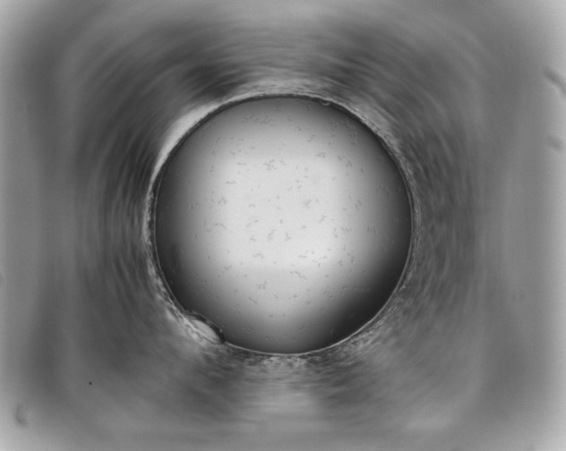 X0000098020912200804071350