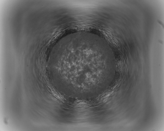 X0000098020913200804071349