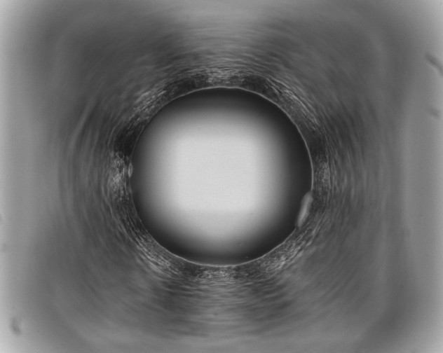 X0000098020914200804071349