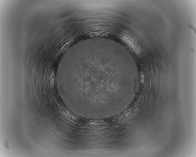 X0000098020915200804071349