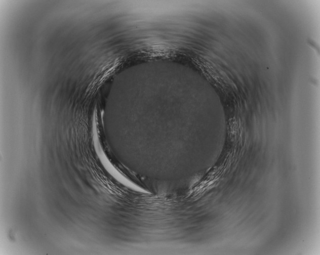 X0000098020916200804071349