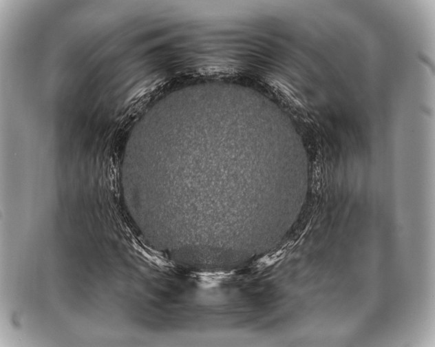 X0000098020917200804071349