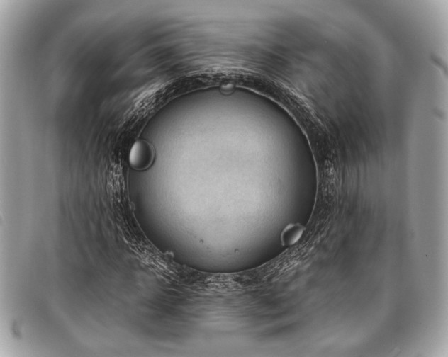 X0000098020918200804071349