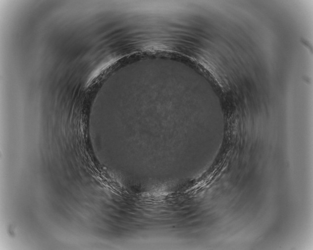 X0000098020919200804071349