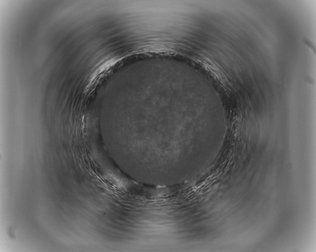 X0000098020920200804071349