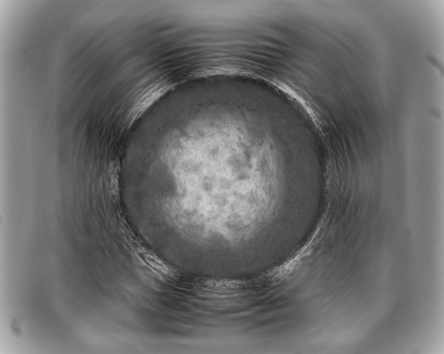 X0000098020921200804071349