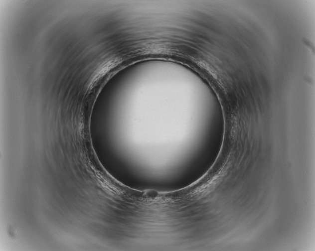 X0000098020922200804071349