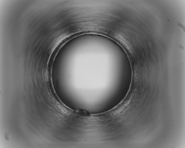 X0000098020924200804071349