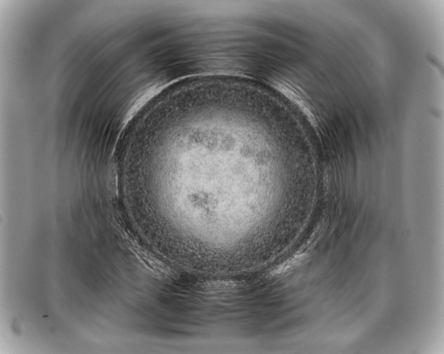 X0000098020925200804071349