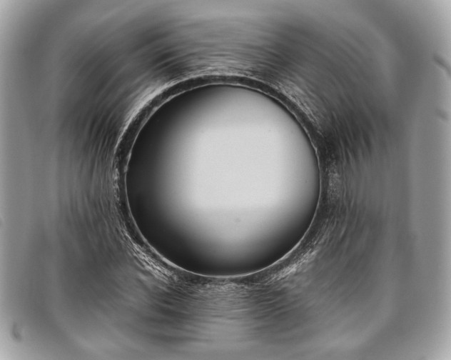 X0000098020926200804071349