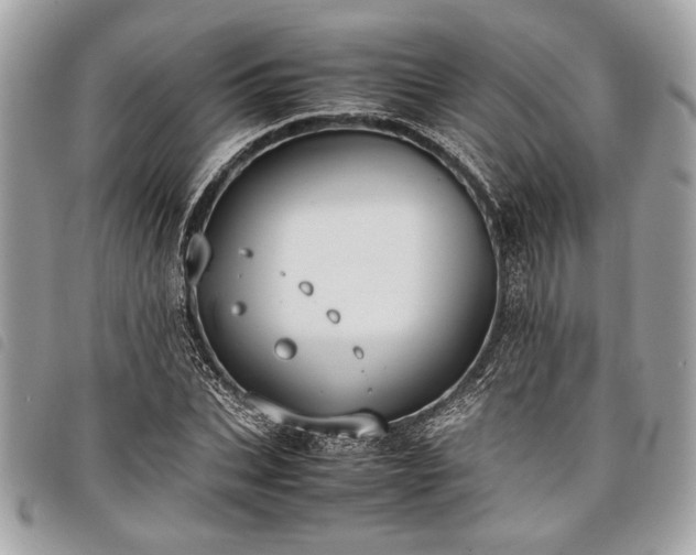 X0000098020927200804071349