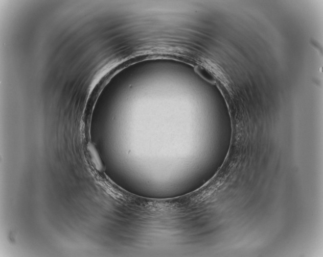 X0000098020928200804071349