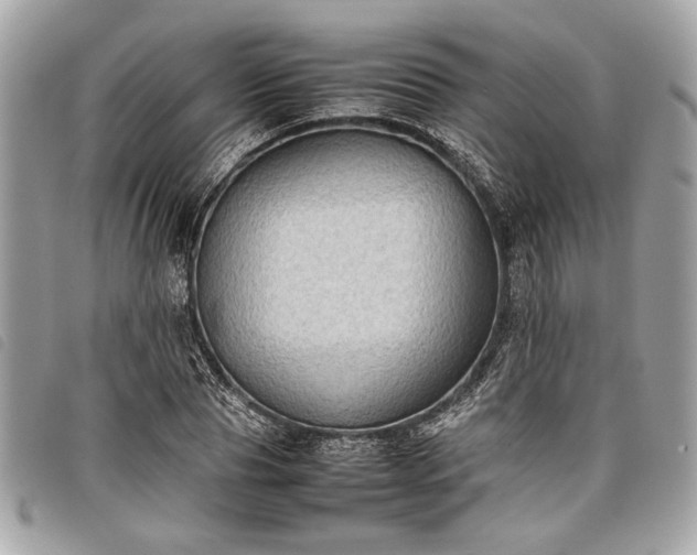 X0000098020929200804071349