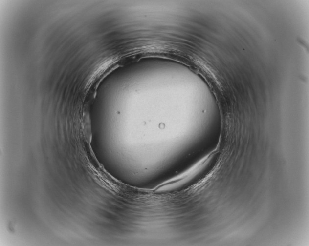 X0000098020930200804071349