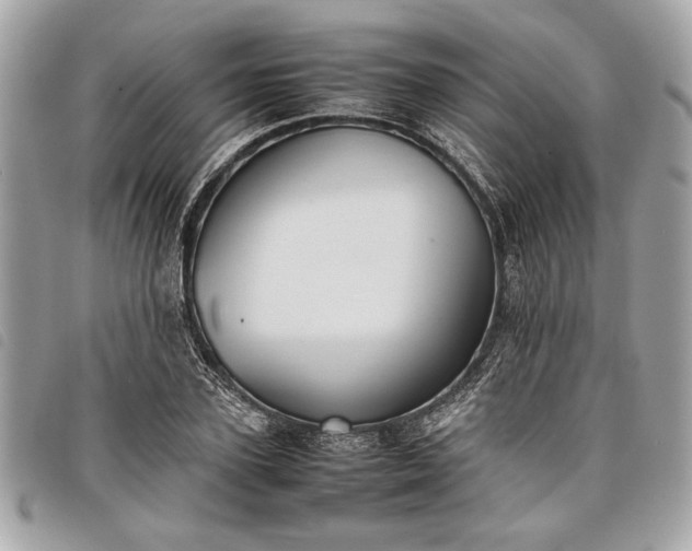 X0000098020931200804071349