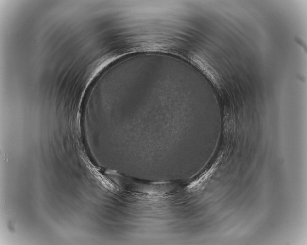 X0000098020932200804071349