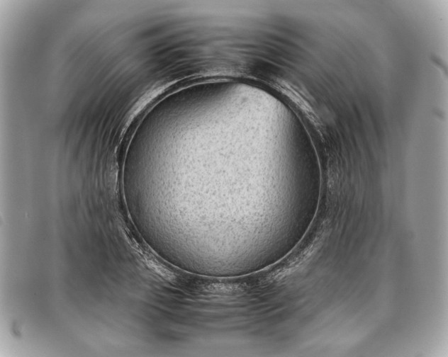 X0000098020933200804071349