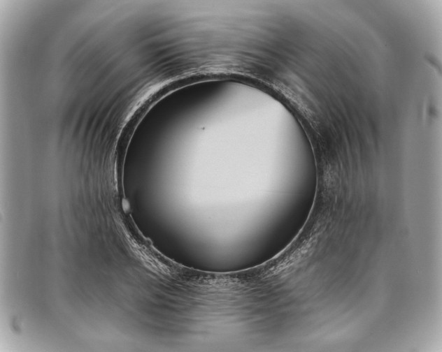 X0000098020934200804071349