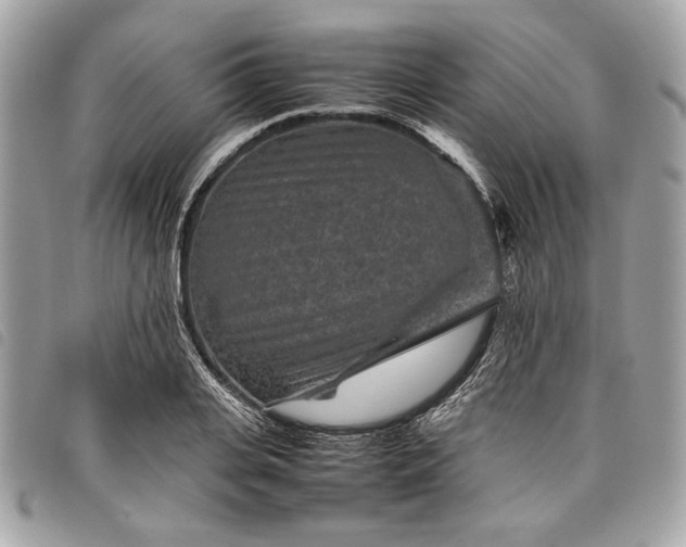 X0000098020935200804071349