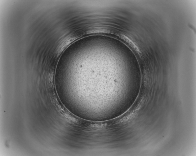 X0000098020937200804071349