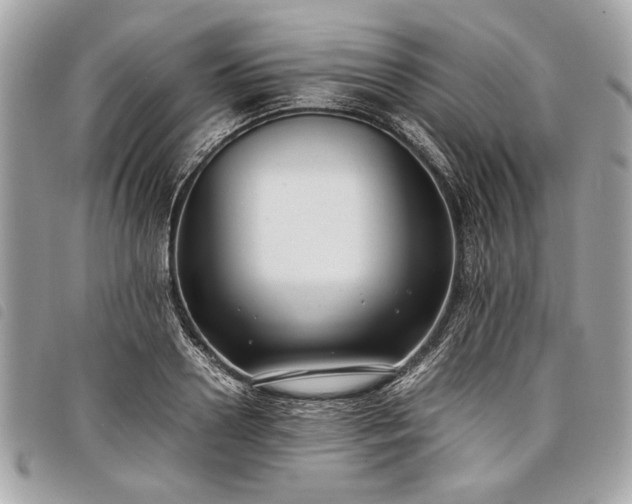 X0000098020938200804071349