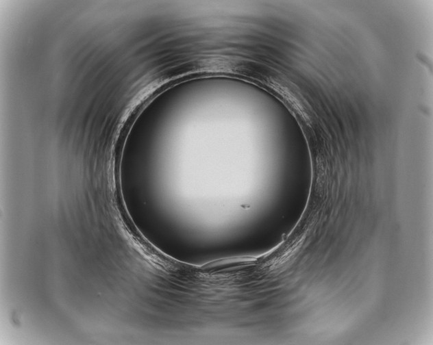 X0000098020939200804071350