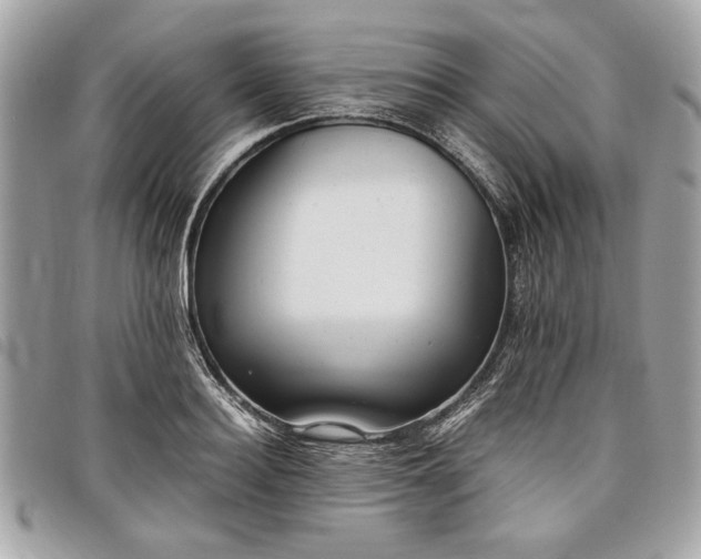 X0000098020940200804071350