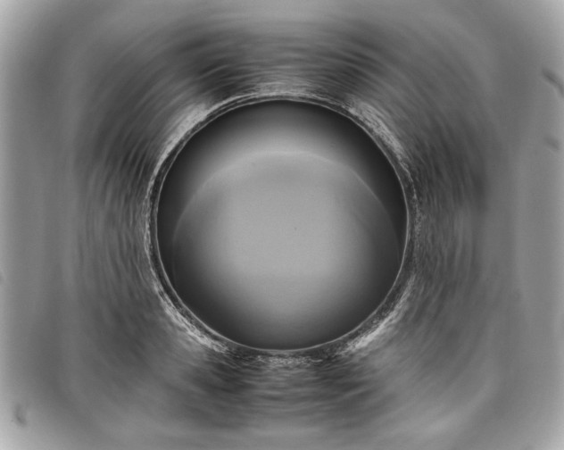 X0000098020941200804071350