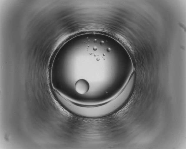 X0000098020942200804071350