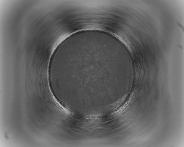 X0000098020943200804071350