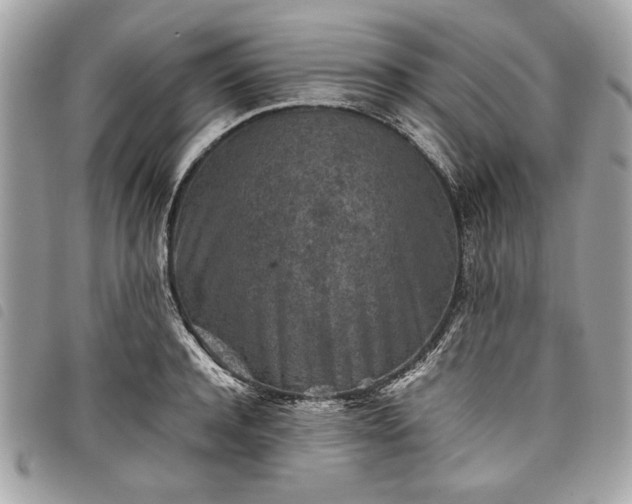 X0000098020944200804071350