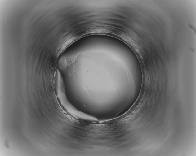 X0000098020945200804071350