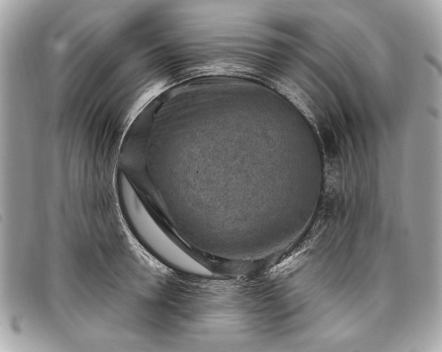 X0000098020946200804071350